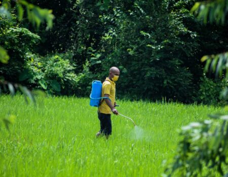 L’utilité des pesticides déboulonnée